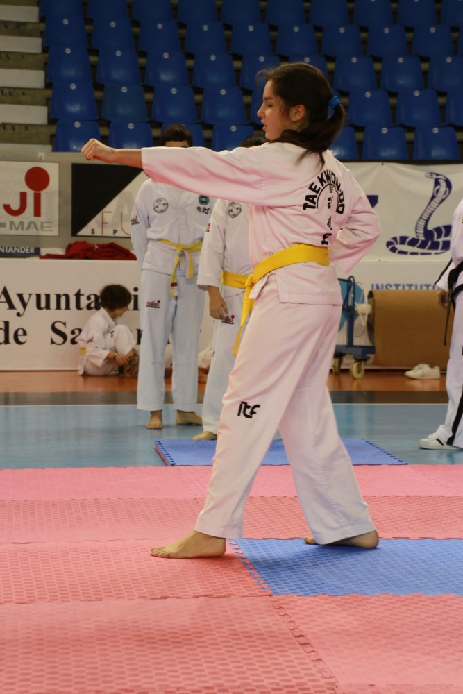 Taekwondo Dic 2016 (186).jpg